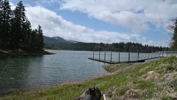 Footage Lake Floating Dock Mount Rainier Foothills Washington State — Stockvideo