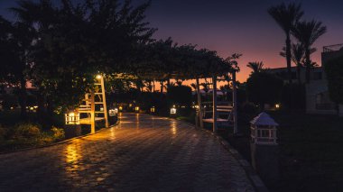 Güzel bir parkta gün batımının büyüleyici bir görüntüsü.