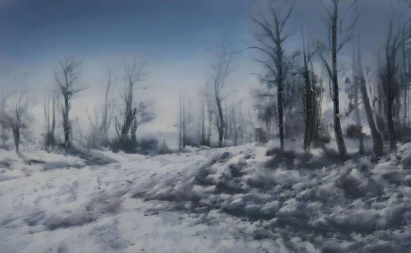 Beautiful Shot Landscape Trees Snowy Day — Stock Fotó