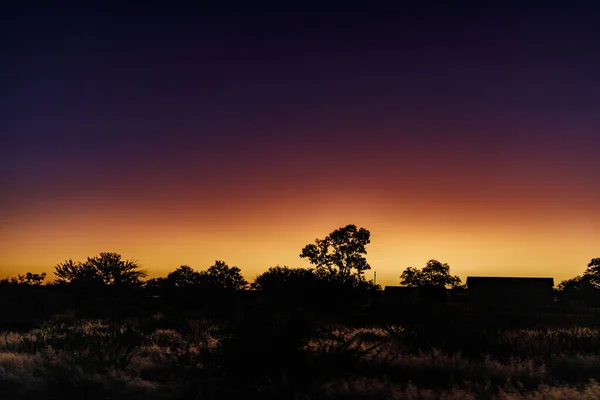 Les Silhouettes Des Arbres Contre Ciel Coloré Coucher Soleil Namibie — Photo