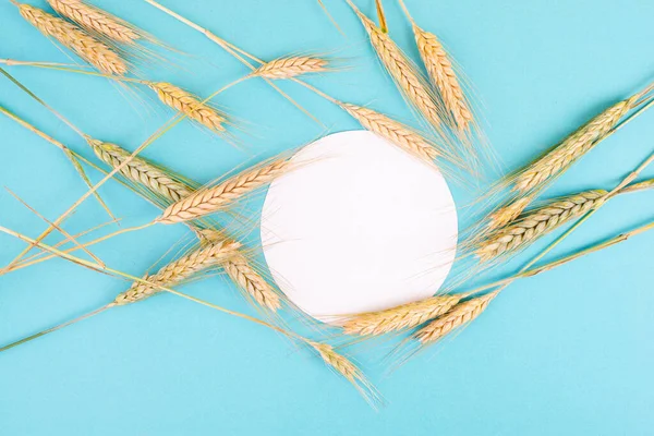 Wheat Crop Textured Background Copy Space Text Food Harvest Summer — Fotografie, imagine de stoc