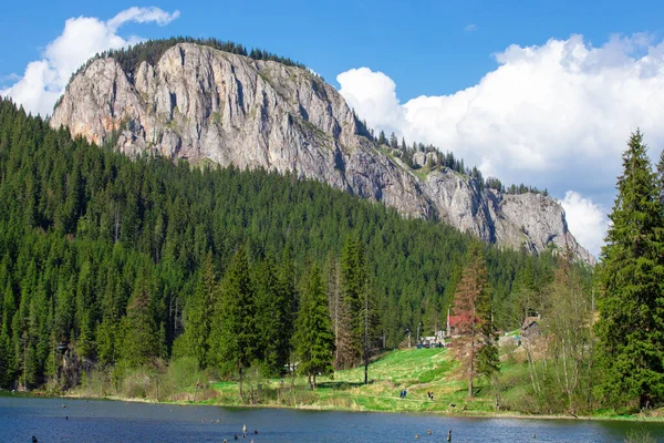 Krajobraz Suhardul Mic Peak Parku Bicaz Gorges Natura Romania — Zdjęcie stockowe