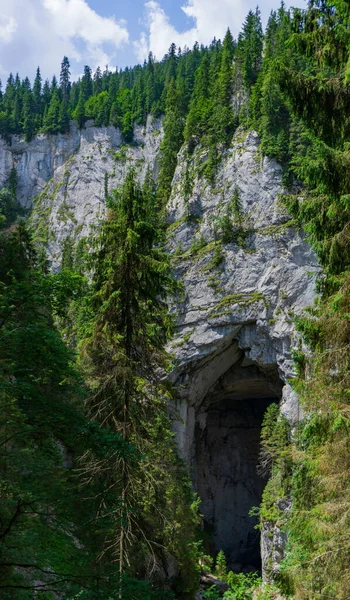 Vertical Shot Huge Cave Entrance Ponorului Fortress Cave Apuseni Mountains — Foto de Stock