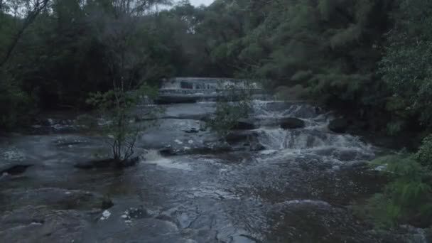 公園内の木々の間を流れる美しい自然水と川のドローン撮影 — ストック動画