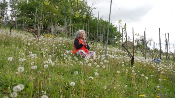 Senior East European Woman Enjoying Spring Relaxing Field Dandelions — Vídeos de Stock