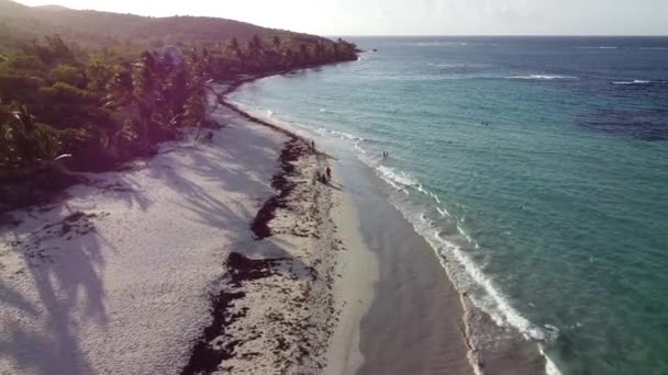 Aerial Footage Body Water Waves Hitting Forested Shore — Stockvideo