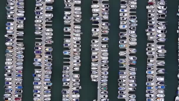 Aerial Shot Harbor Full Boats — Stock video