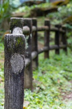 A selective focus shot of an old wooden fence in the garden