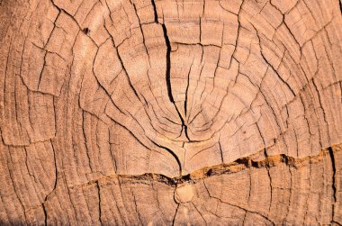 Kahverengi Kuru Ahşap Yüzey Deseni Arkaplanı