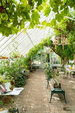 Güzel bir botanik bahçesinin dikey görüntüsü.