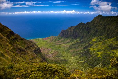 Amerika Birleşik Devletleri 'nin Hawaii eyaletindeki Kaua' i Adası 'nda güneşli bir günde mavi gökyüzünün altında Kalalau Vadisi' nin güzel bir manzarası.