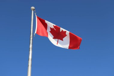 A flag of Canada on the flagpole waving in the wind