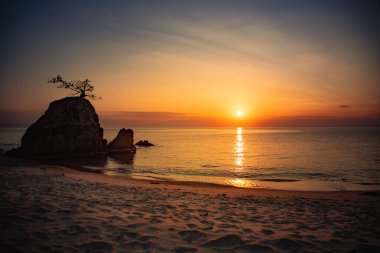 Gün batımında Afrika 'da Malavi Gölü' nde, sahildeki büyük bir kayanın içindeki bir ağacın silüeti.