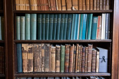 A closeup of the antique books on the bookshelf.