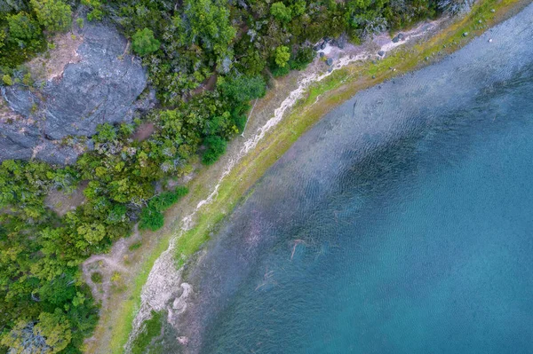 Aerial View River Forest —  Fotos de Stock