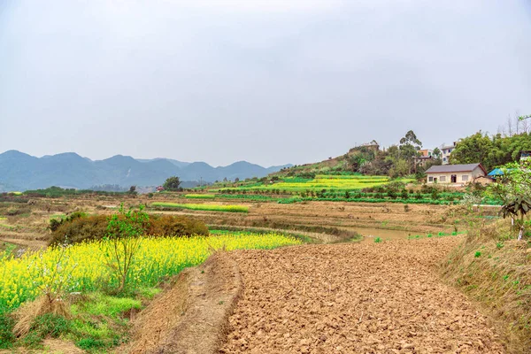 Beautiful View Vast Agricultural Landscape Green Mountains Background —  Fotos de Stock