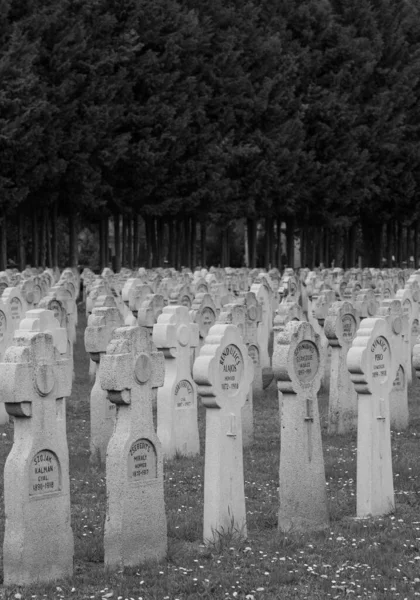 ペックス墓地で第一次世界大戦中に殺された兵士の墓石の垂直ショット ハンガリー 永遠の記憶 — ストック写真