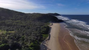 A beautiful view of the Grass head park with lush trees and a sandy beach in Australia