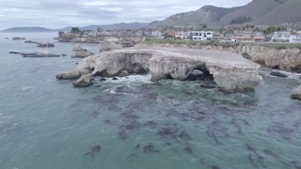 海と海岸の崖の映像 カリフォルニア州サンルイスオビスポの恐竜洞窟公園 — ストック動画