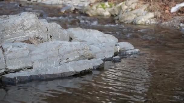Slow Motion Water Flowing Rocks River Breggia Valle Muggio Ticino — 图库视频影像