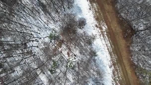 Aerial Shot Road Surrounded Leafless Forests Covered Snow Winter Bavaria — Stockvideo