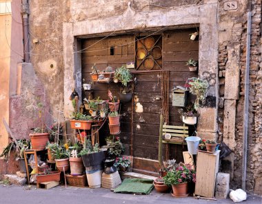 A beautiful shot of plants pots and a vintage mailbox at the wooden entrance of an old building on a sunny day