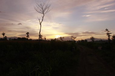 Dağlarda gün doğumunun güzel bir görüntüsü