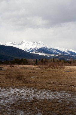 Valemount, British Columbia, Kanada 'da güzel bir dağ manzarası