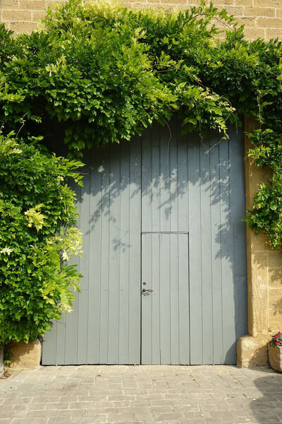 A vertical shot of a grey door covered with a green bush in Torgny, Luxembourg