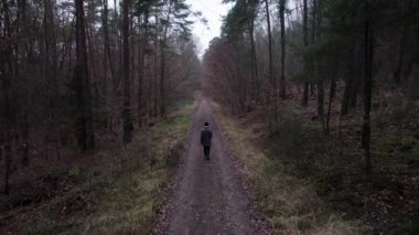 A high angle of a male walking on a trail in a forest of leafless trees in Bavaria, Germany