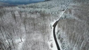 An aerial shot of a road surrounded by leafless forests covered with snow in winter in Bavaria,Germany