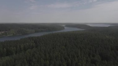 A video footage of a giant forest across a wide river in Poland