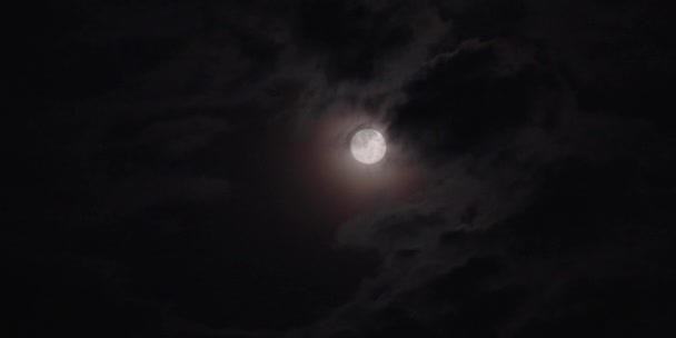 Une Vue Fascinante Une Pleine Lune Dans Ciel Noir Sombre — Video