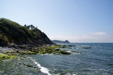 Mavi gökyüzünün altında yosunlu taşlarla güzel bir deniz manzarası.
