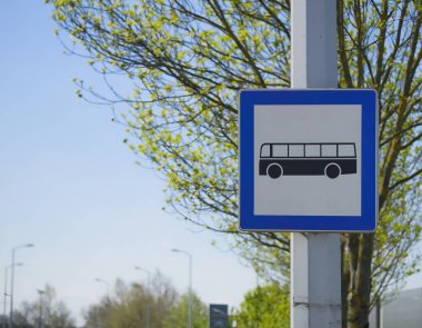 A silver pole with a bus street sign near a tree