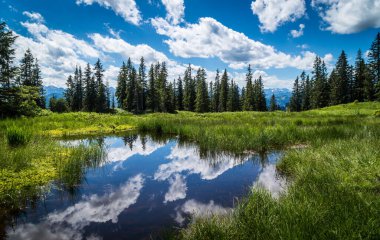 A beautiful view of a reflective pond in a forest with green trees under the blue cloudy sky