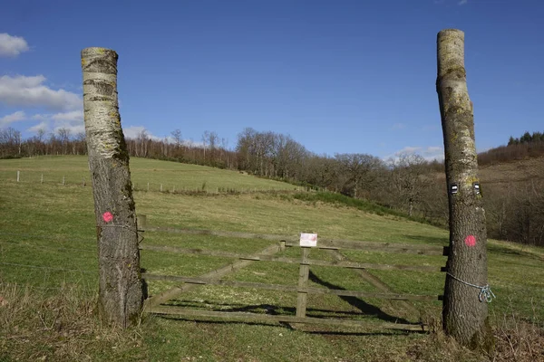 February 2022 Ruckersfeld Nrw Germany Cattle Gate Warning Sign Trees — Stock Photo, Image