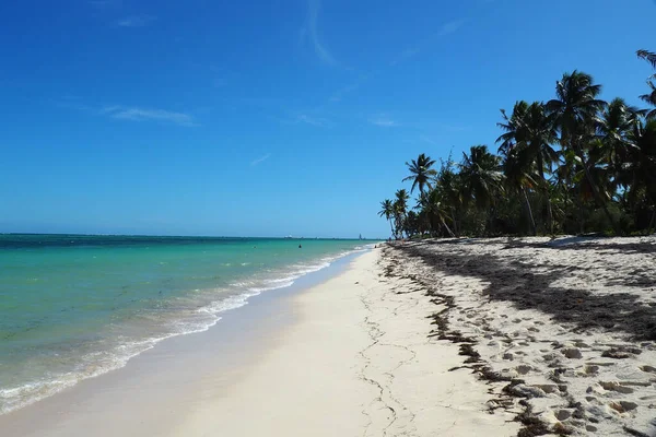 Naturskön Utsikt Över Havet Mot Sandörnen Beach Täckt Med Palmer — Stockfoto