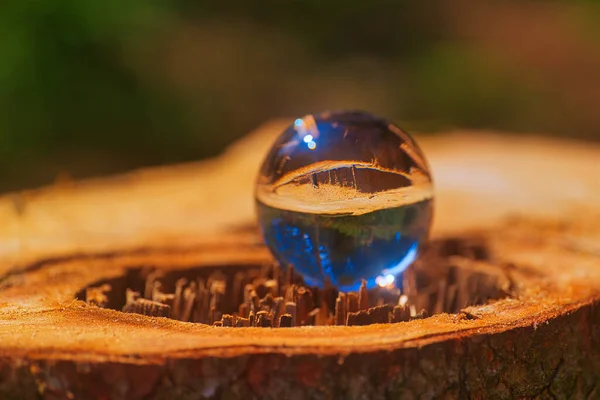 Closeup Crystal Ball Reflection Nature Thuringian Forest — Photo