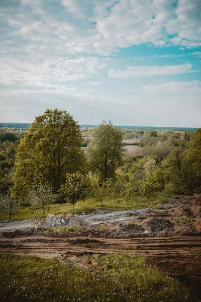 Beautiful Landscape Rural Area Dense Green Forest — Stock Photo, Image