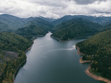 Romanya 'nın Arges ilindeki verimli ormanlarla çevrili Vidraru Gölü' nün hava manzarası