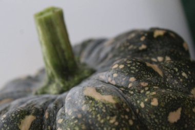 Sarı benekli yeşil bir balkabağına yakın plan.