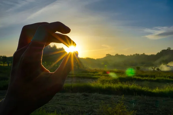 View Hand Trying Catch Sun Beautiful Meadow Green Grass — Stock Photo, Image
