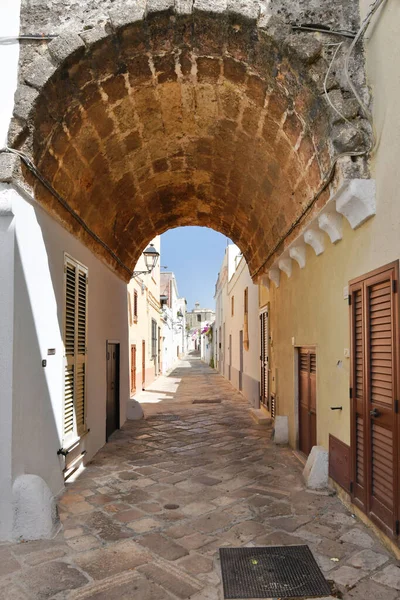 Narrow Street Old Houses Presicce Picturesque Village Province Lecce Italy — Zdjęcie stockowe