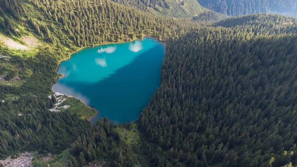 Beautiful View Small Lake Surrounded Dense Trees — Zdjęcie stockowe