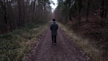 A high angle of a male walking on a trail in a forest of leafless trees in Bavaria, Germany