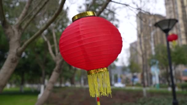 Beautiful Chinese Red Paper Lantern Floating Wind Outdoors — Wideo stockowe