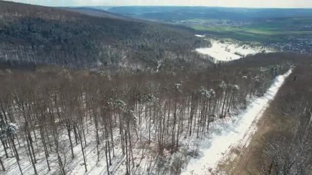 Bird Eye View Leafless Forests Covered Snow Green Landscape Bavaria — 图库视频影像