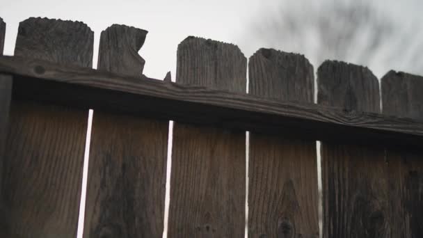 Close Broken Wooden Fence — Stockvideo