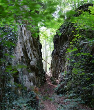 Rocks and narrow path with plants in Luxemburg, Mullerthal trail on a sunny day